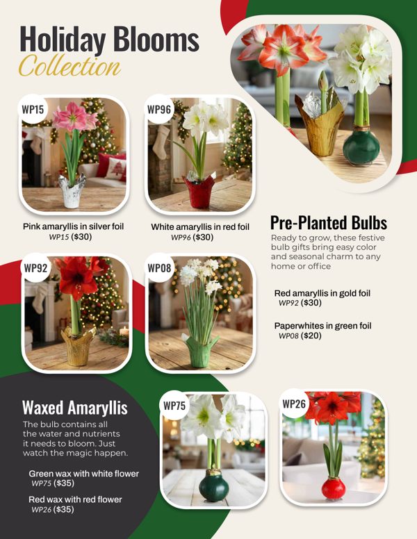 Holiday Blooms Collection 2026 catalog cover