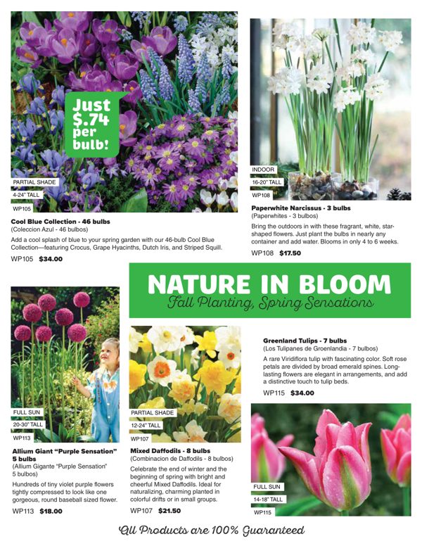 Nature in Bloom 2026 catalog cover